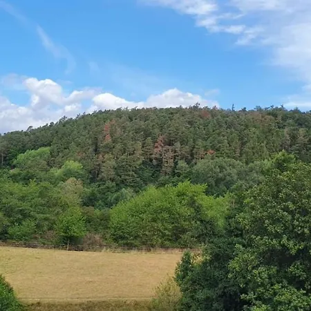 公寓 Waldblick 巴特维尔东根