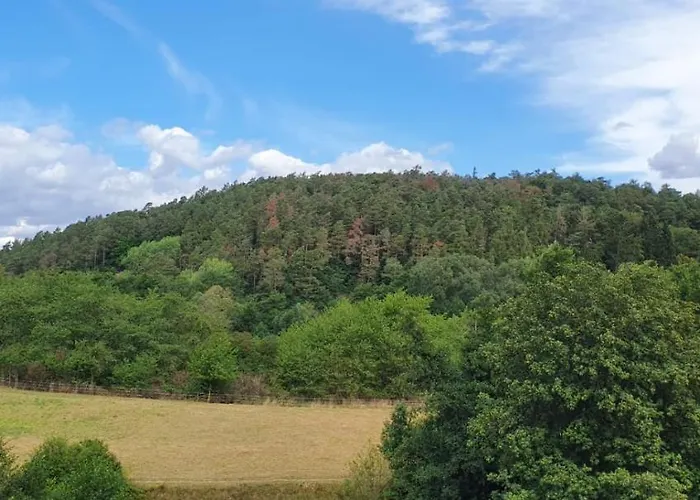 Διαμέρισμα Waldblick Bad Wildungen